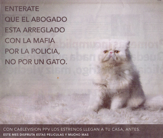Grimper Andresito, Clarín del 23 de agosto de 2009